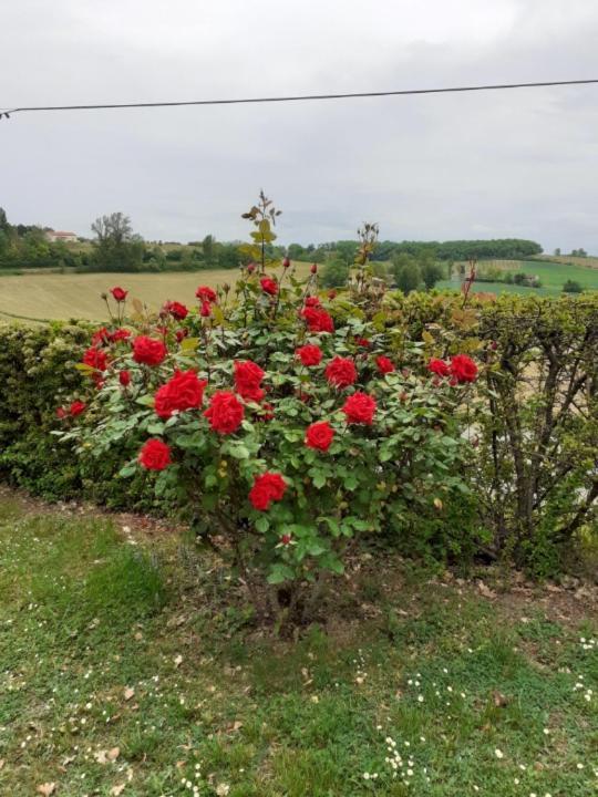 Gite De La Cheneraie Montpezat-de-Quercy Luaran gambar